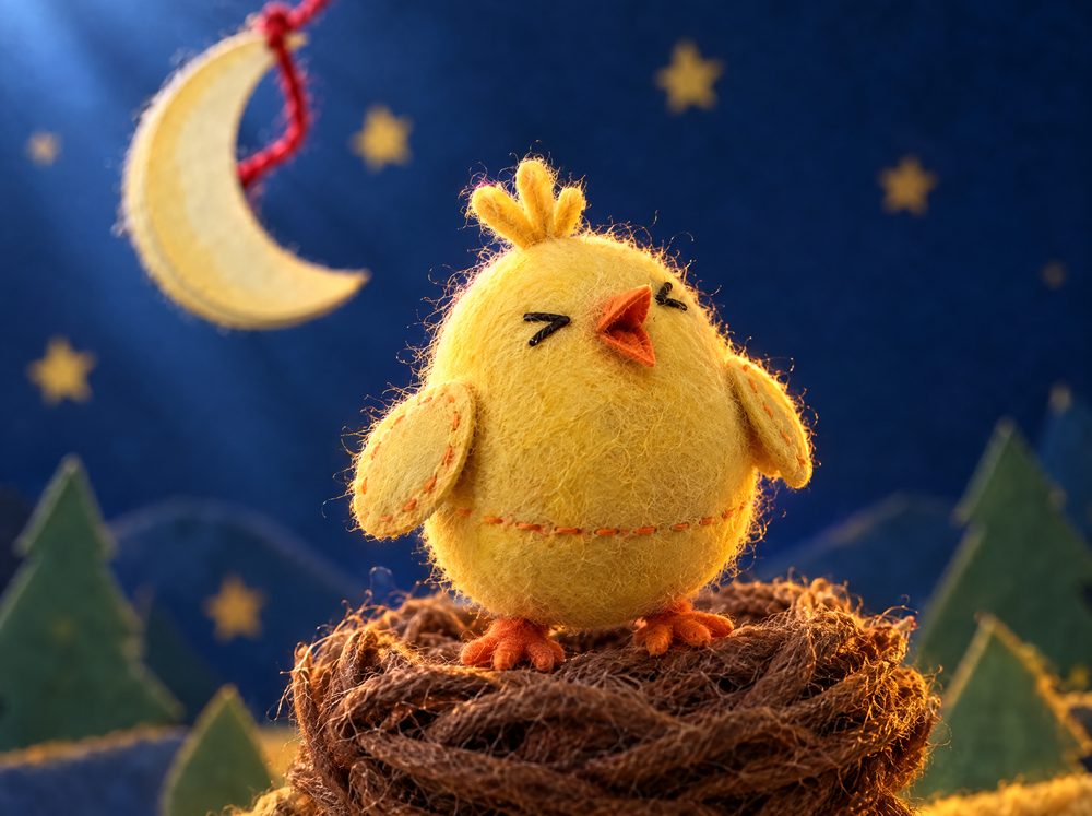 Styleframe 3: the chick crows under the moon